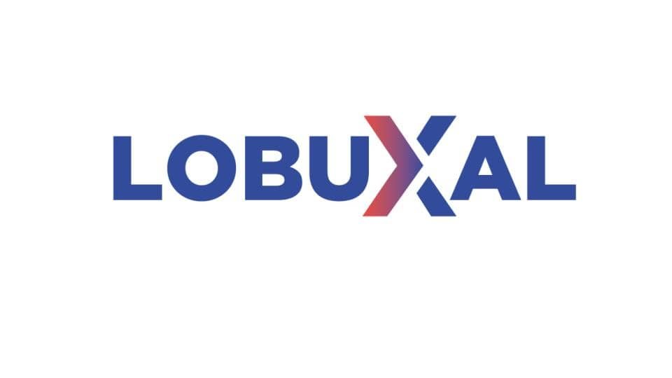 Logo Lobuxal Piña Tropical